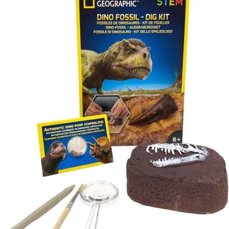 National Geographic Dino Fossil Dig Children’s Science Kit
