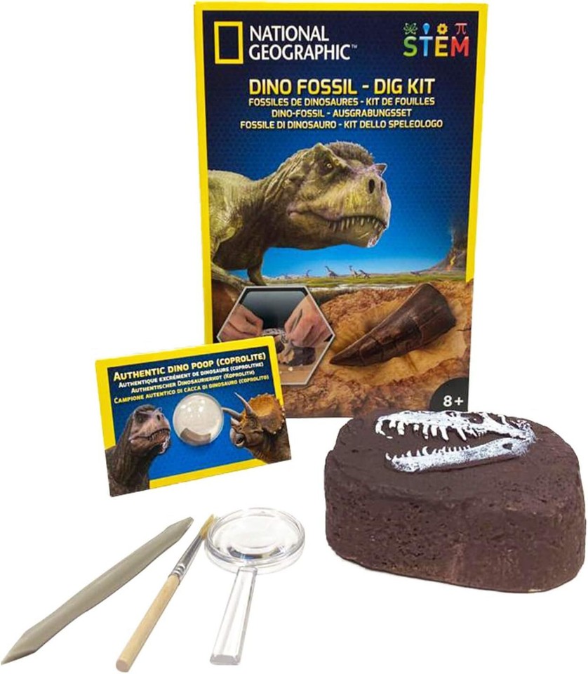 National Geographic Dino Fossil Dig Childrens Science Kit
