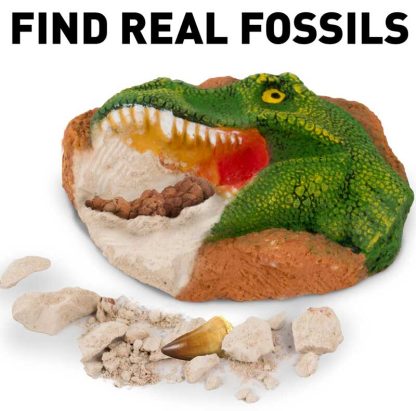 National Geographic Dino Fossil Dig Children’s Science Kit