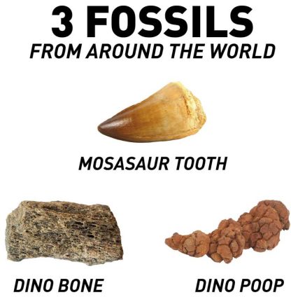 National Geographic Dino Fossil Dig Children’s Science Kit