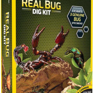 National Geographic Bug Dig Science Kit with 3 Preserved Bugs