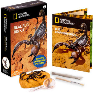 National Geographic Bug Dig Science Kit with 3 Preserved Bugs
