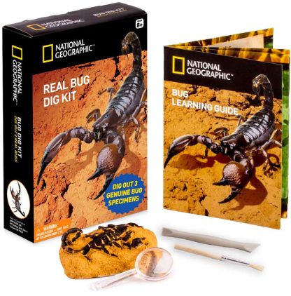 National Geographic Bug Dig Science Kit with 3 Preserved Bugs