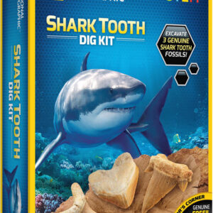 National Geographic Shark Teeth Dig Kit JM00604