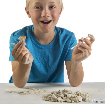 National Geographic Shark Teeth Dig Kit JM00604