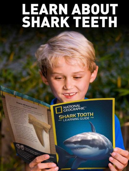 National Geographic Shark Teeth Dig Kit JM00604