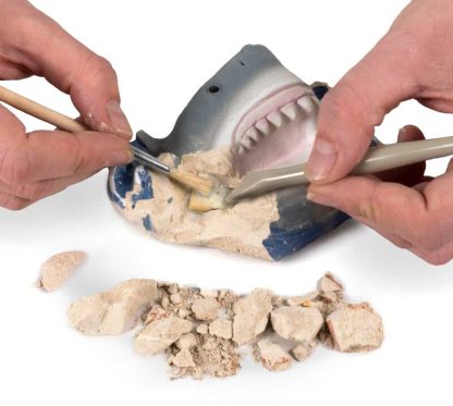 National Geographic Shark Teeth Dig Kit JM00604